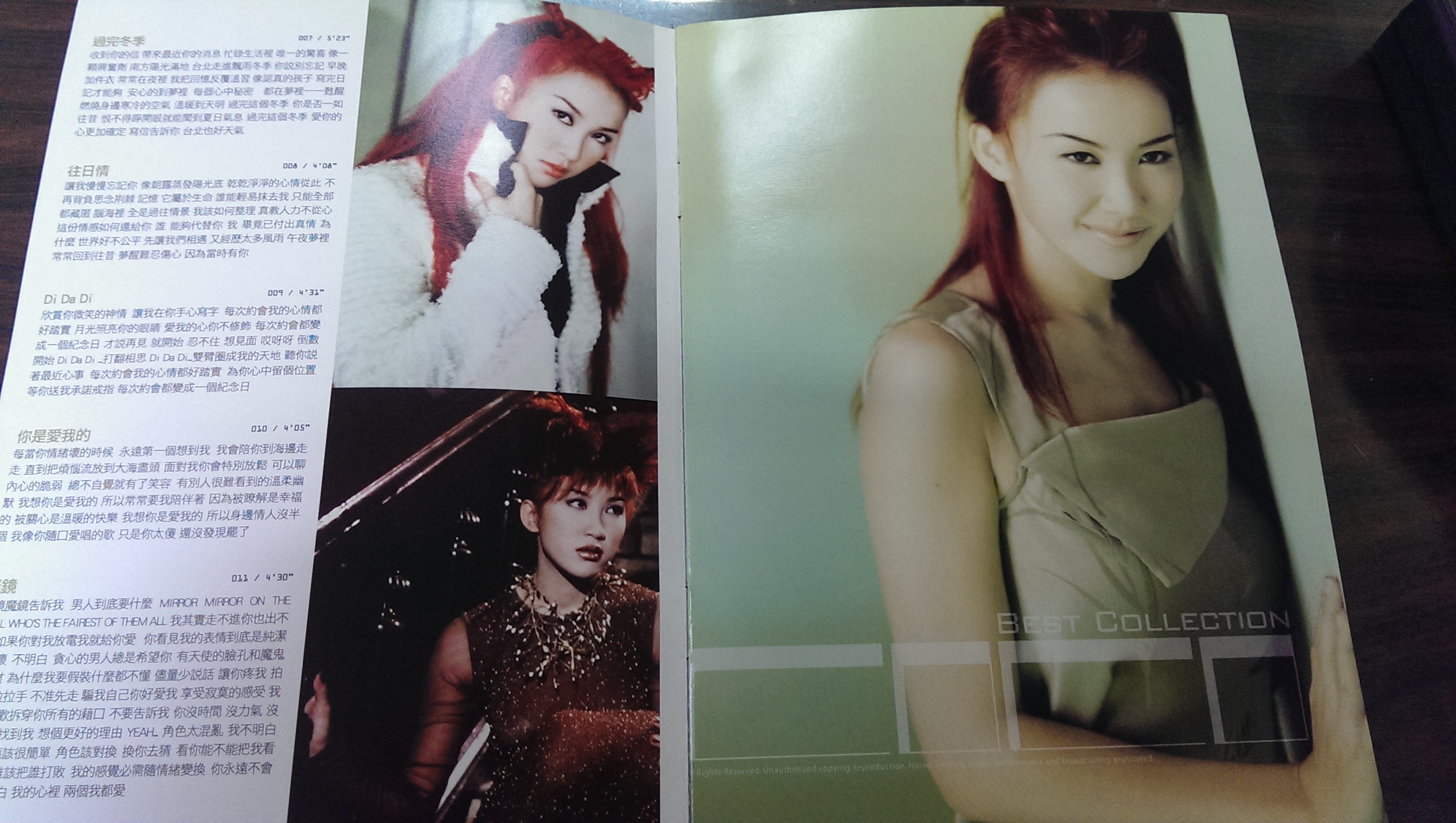 Coco Lee (李玟)