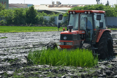 El futuro de las tierras agrícolas de Taiwán