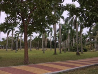 La isla hermosa