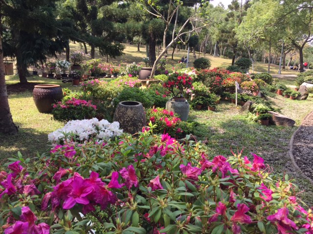 Festival de azaleas de Taipéi 2017