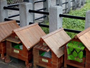 Houtong, el paraíso de los gatos