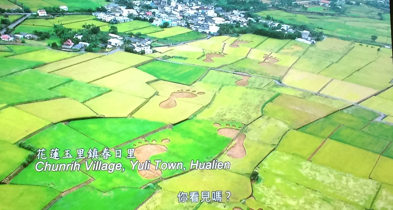 Taiwán en 360°