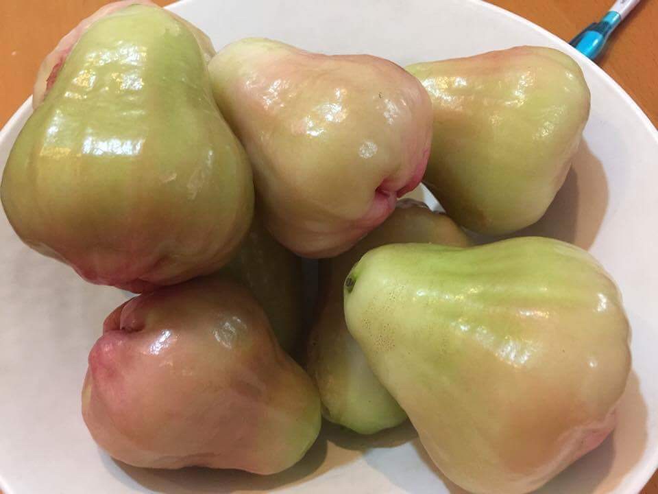 La manzana de cera