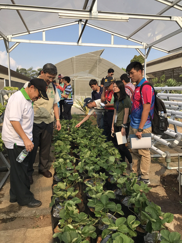 Los jóvenes embajadores agrícolas en el Sudeste Asiático