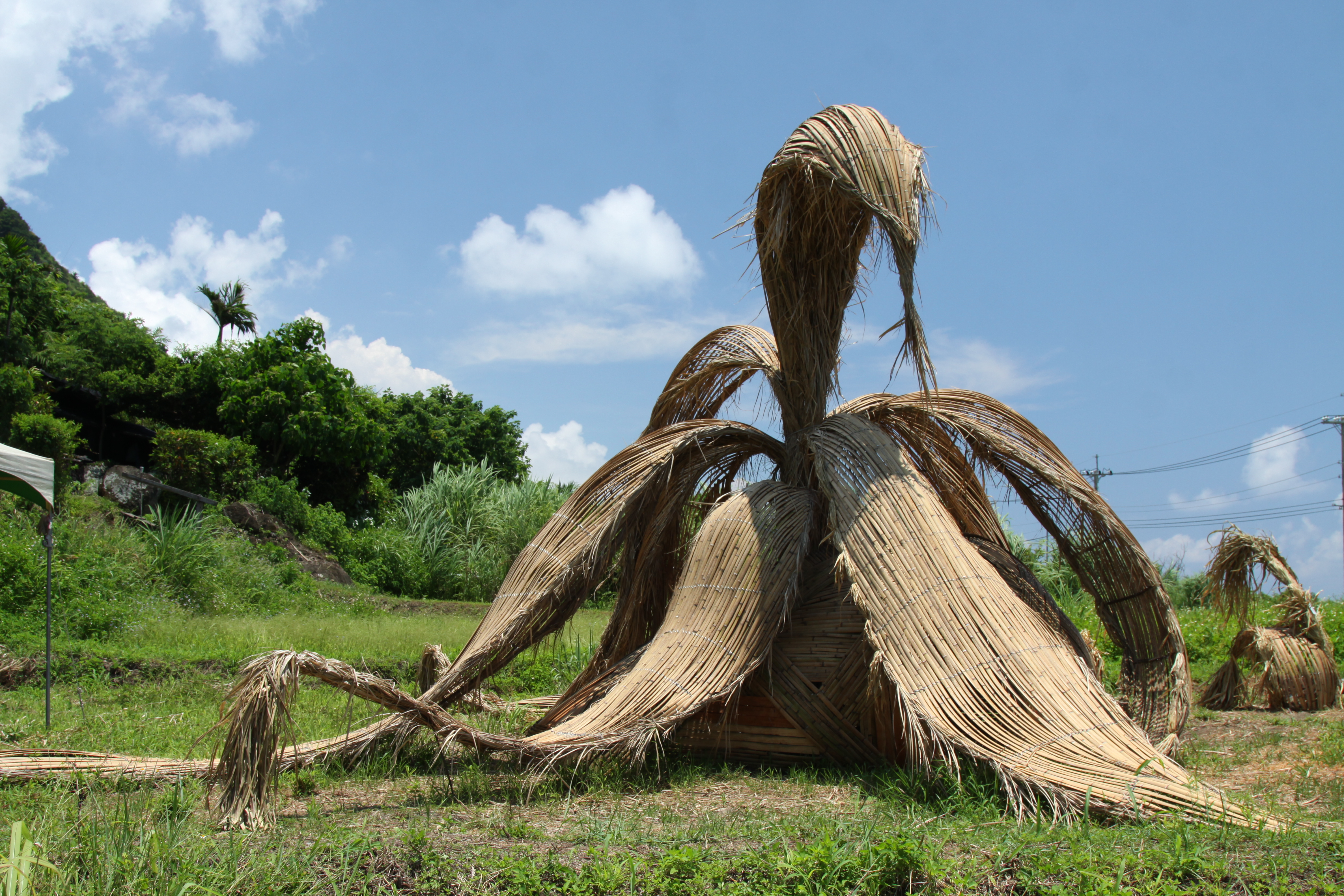Festival de arte de los humedales de Mipaliw 2017