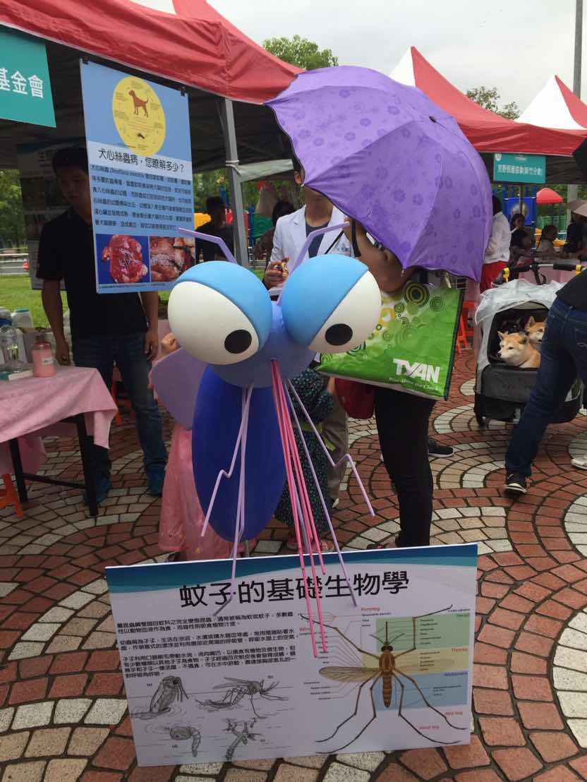 Taiwán en 360°