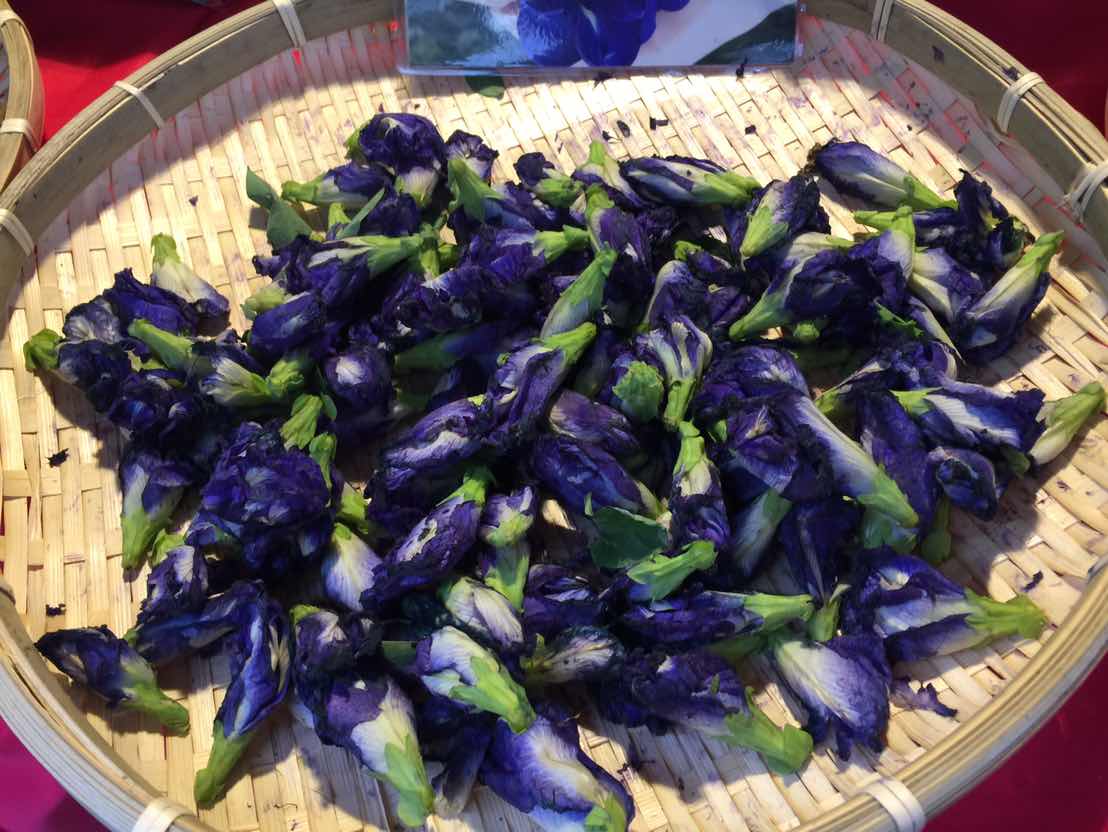 La clitoria ternatea (conchita azul)