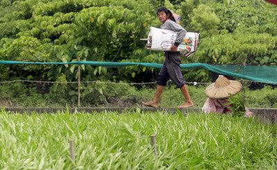 El tifón Linfa se aproxima al sur de Taiwán