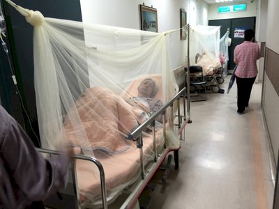 Alerta en Tainan por la agresividad del dengue de tipo 2