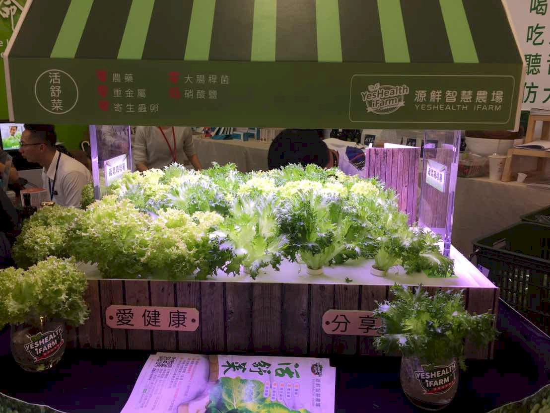 El cultivo hidropónico, de Taiwán al Reino Unido