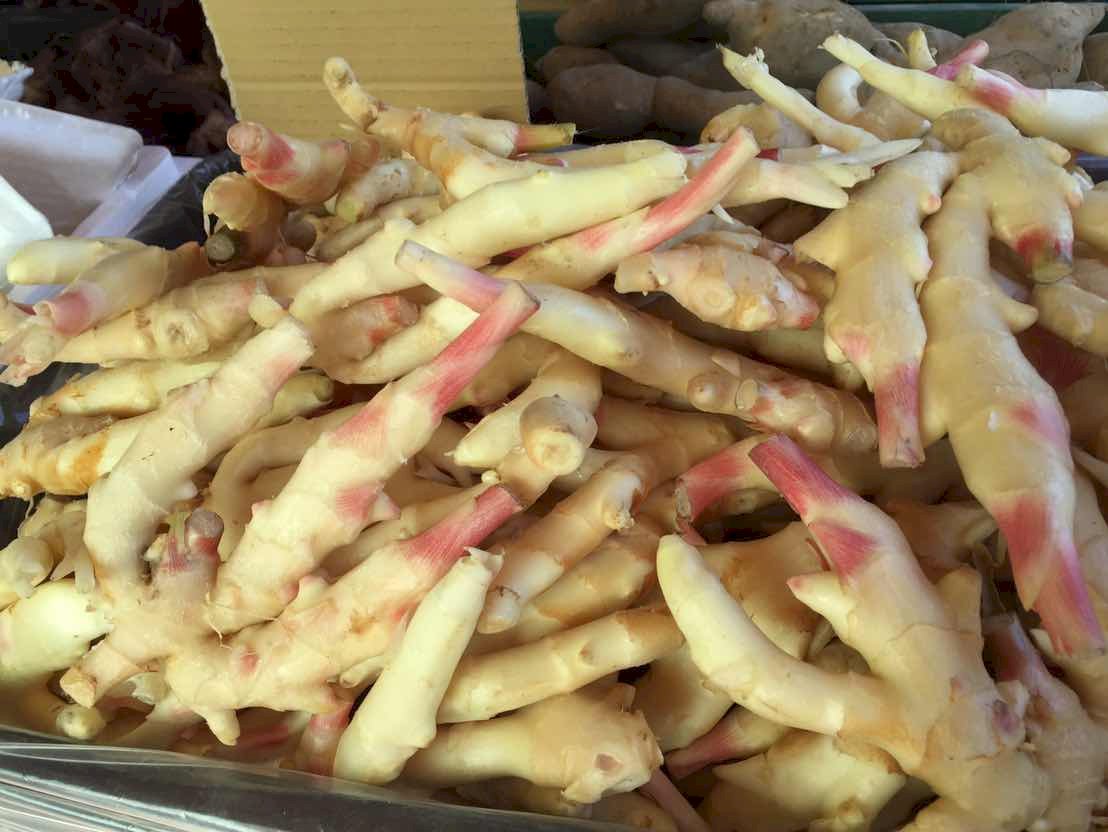 El jengibre, el ginseng de Taiwán