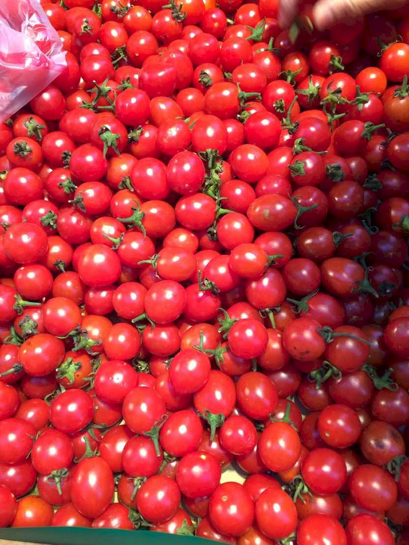El tomate cherry