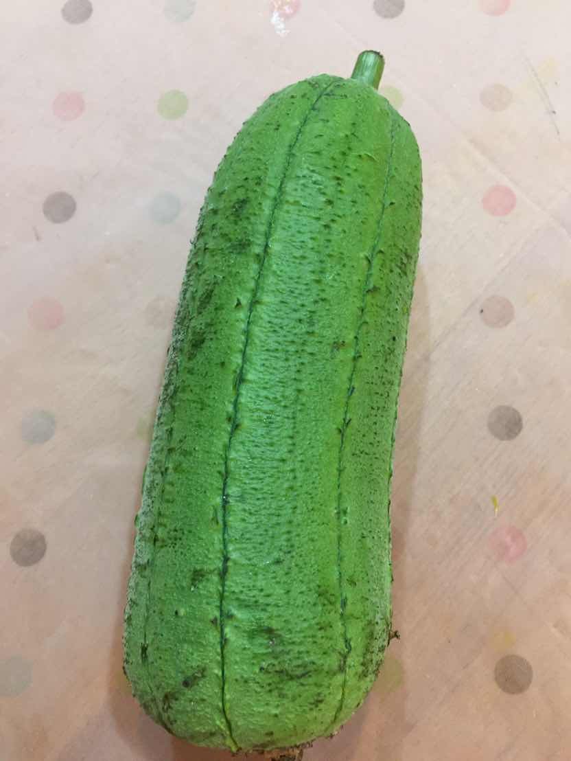La luffa egipcia