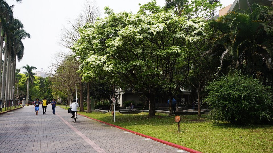 La Universidad Nacional de Taiwán se encuentra entre las 100 mejores universidades del mundo, según Quacquarelli Symonds