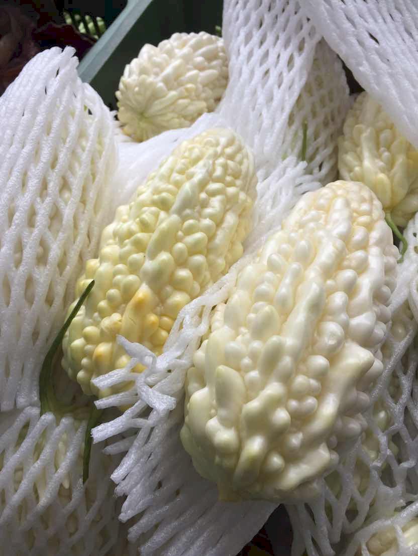 El pepino amargo