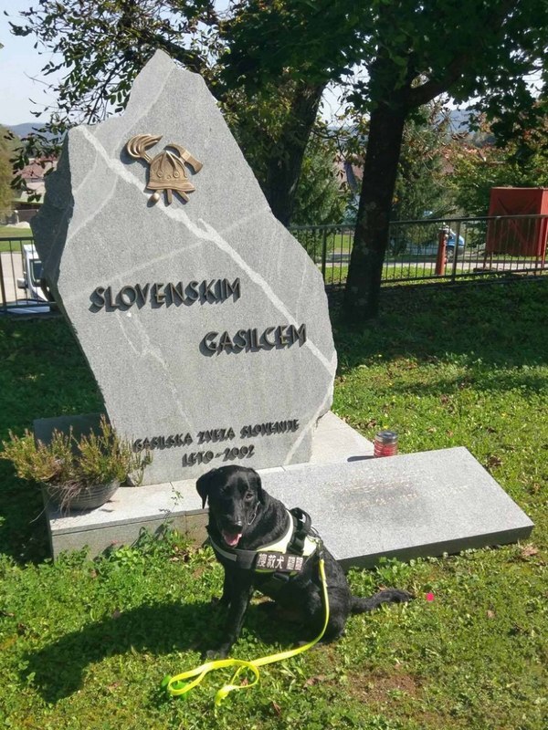 El perro de rescate Tuei-tuei llega a Eslovenia