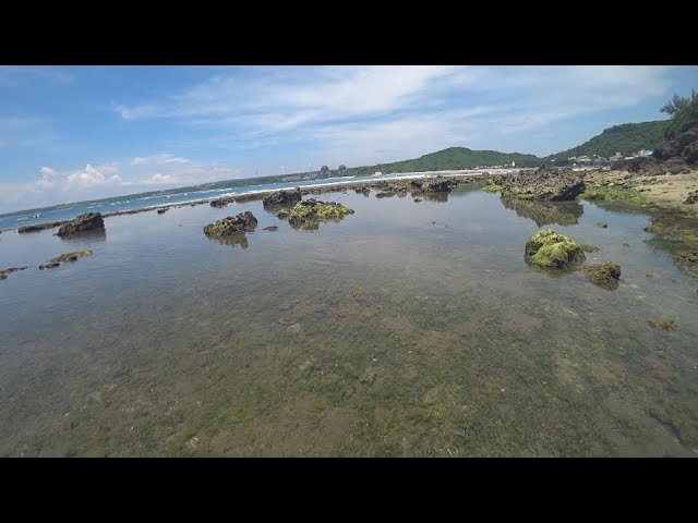 Las aguas residuales destruyen la ecología marina de Kenting