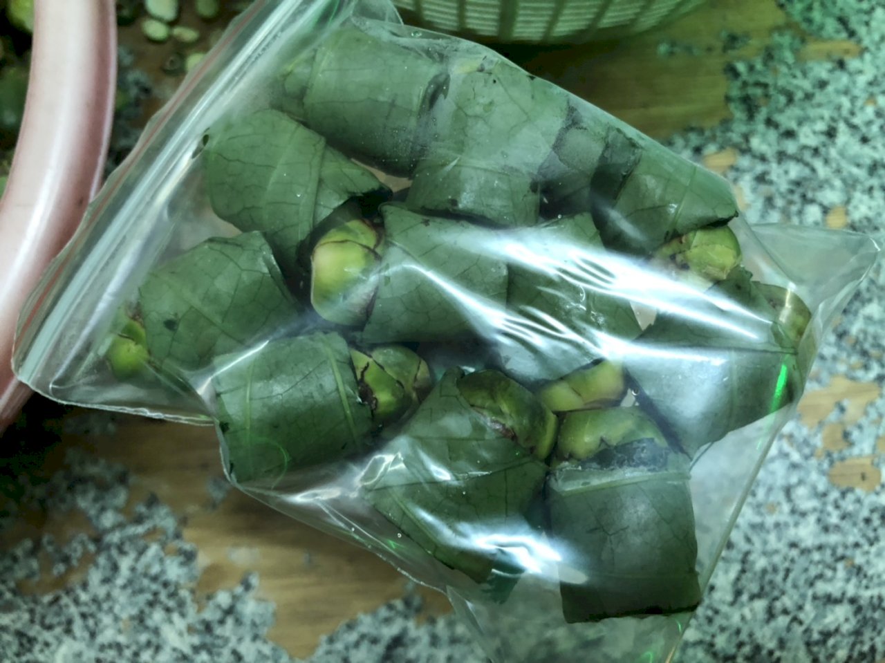 La areca o nuez de betel