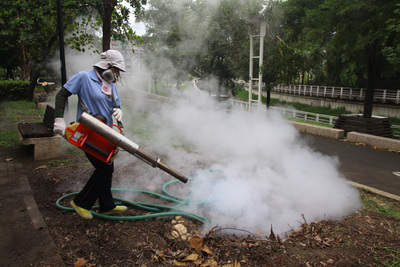 El CDC pide a las escuelas reforzar las medidas de prevención contra el dengue