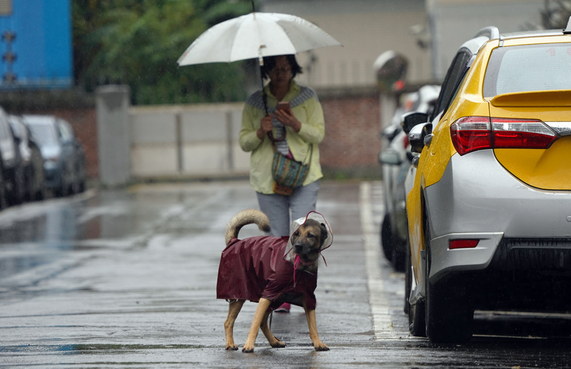 Vuelven el frío y la lluvia tras una semana calurosa