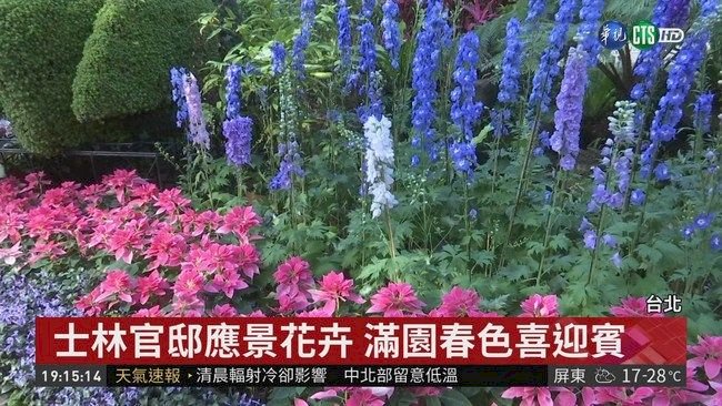 Lugares imperdibles para celebrar la llegada de la primavera