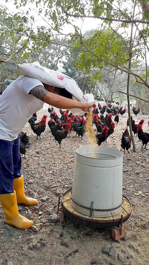 Lo más curioso de la semana