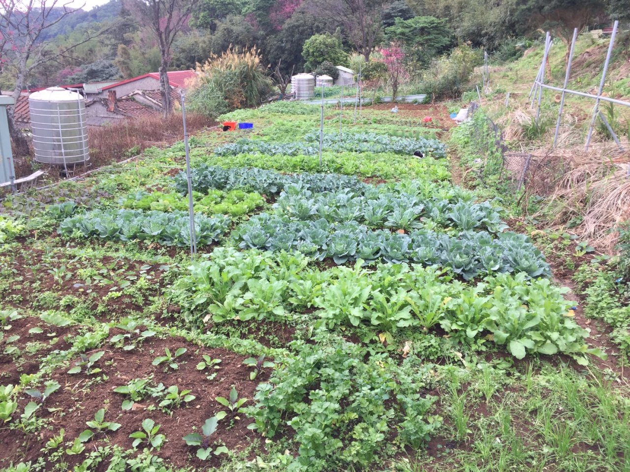 La agricultura orgánica