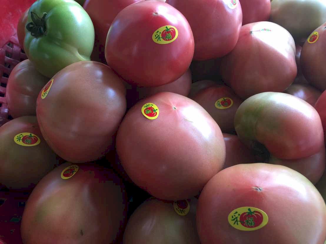 De sociedad agraria tradicional a líder en agrotecnología