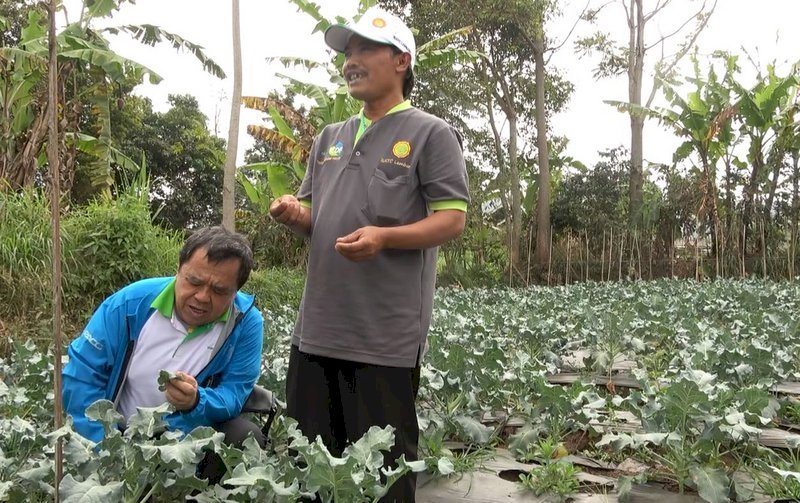 Indonesia espera que el proyecto agrícola Bandung se extienda un año más