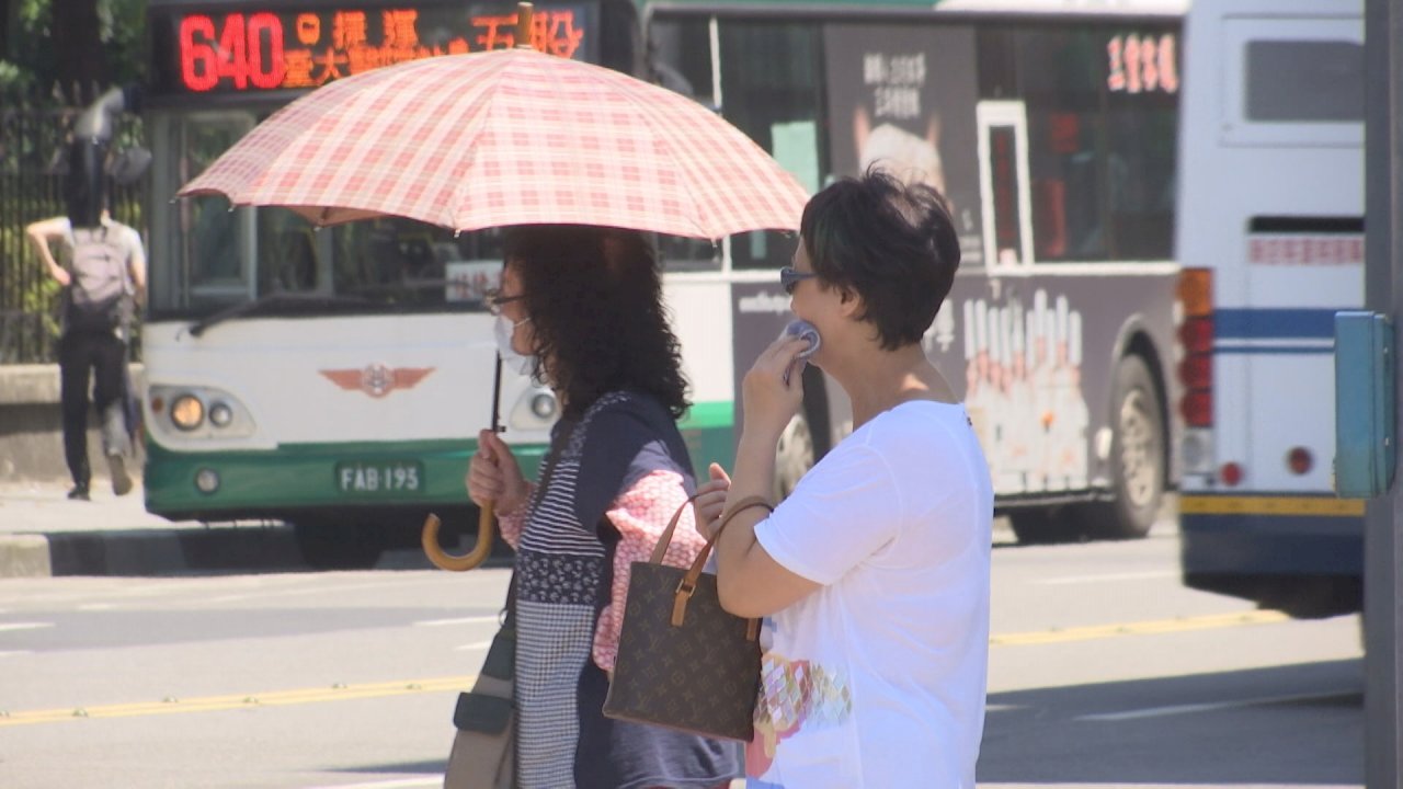 Consumir frutas y verduras estacionales para combatir el golpe de calor