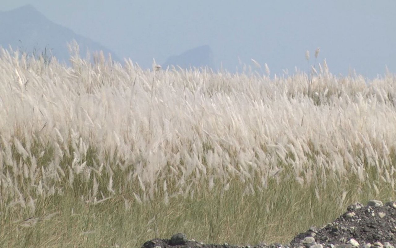 Paisaje otoñal a orillas del río Lanyang en Yilan