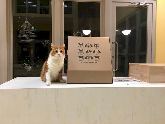Taiwán Curioso