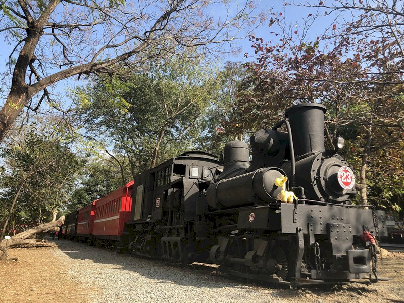 Alishan con grandes pérdidas en el sector turístico