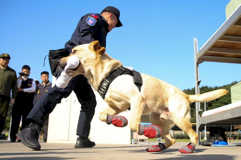 La Policía Militar establece brigadas caninas en operativos antidroga