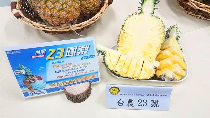 Taiwán Curioso