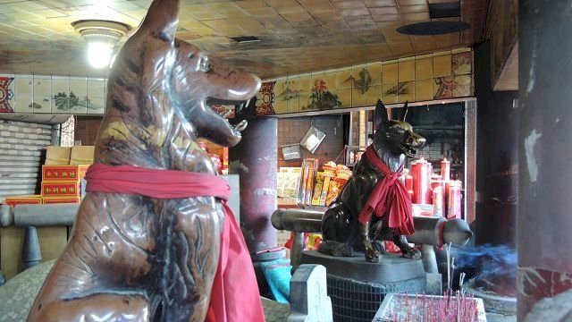 El decimooctavo rey—la iconografía y la mitología de un canino