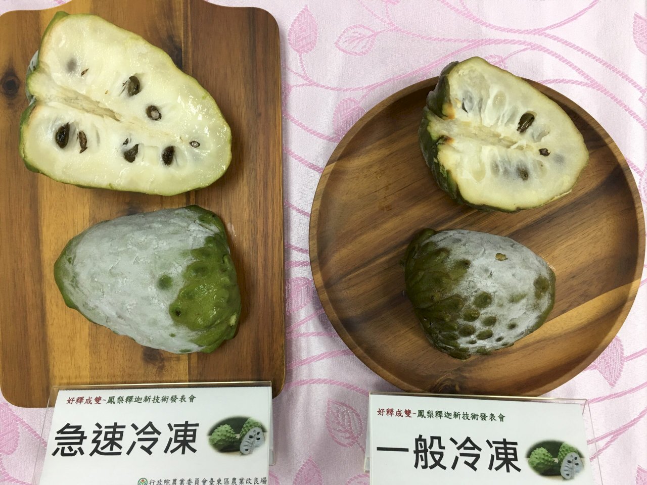 Nueva tecnología en conservación de frutas para exportación