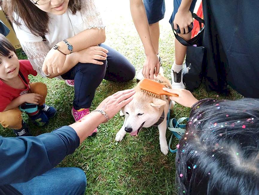 Taiwán Curioso