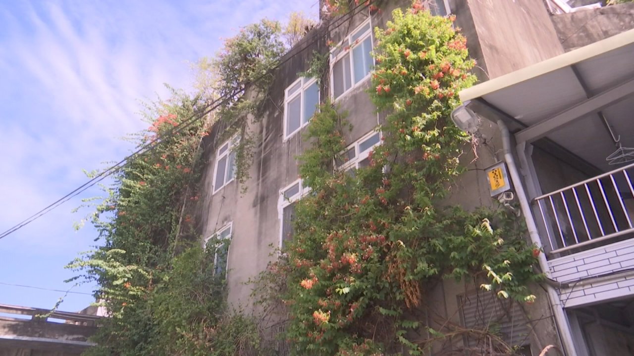 Una “casa de árbol” muy especial