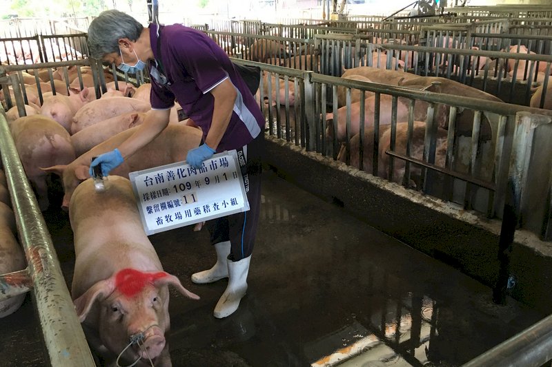 La nueva competitividad de la cría del cerdo en Taiwán