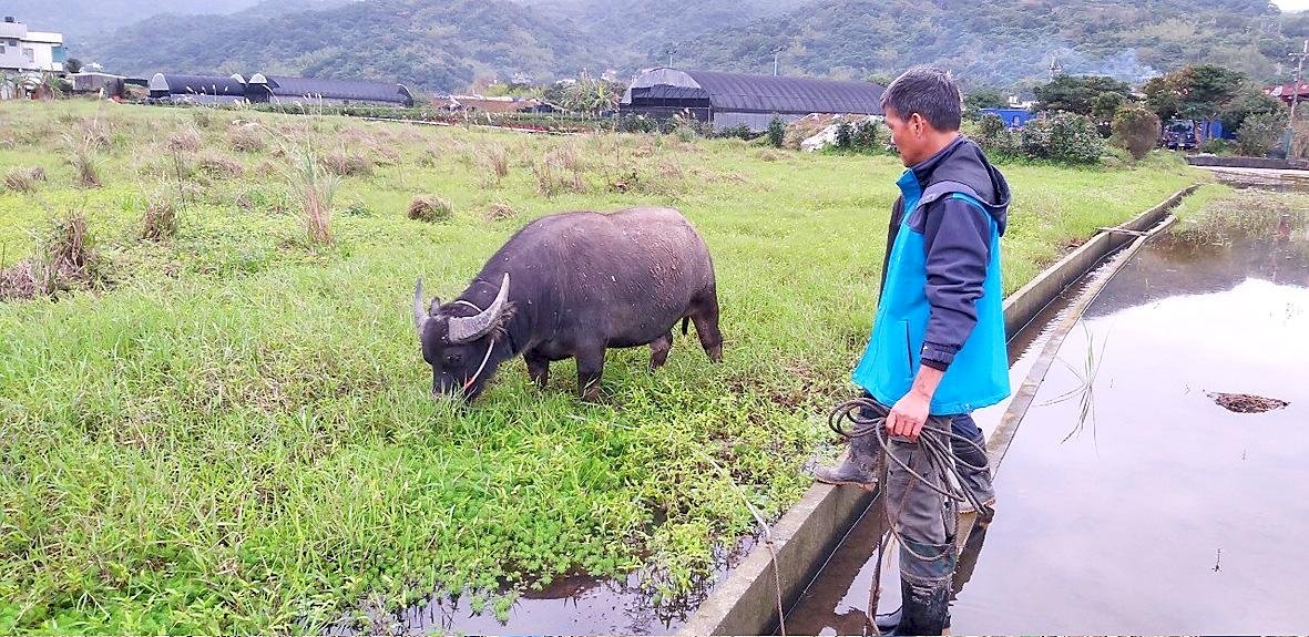Taiwán Curioso