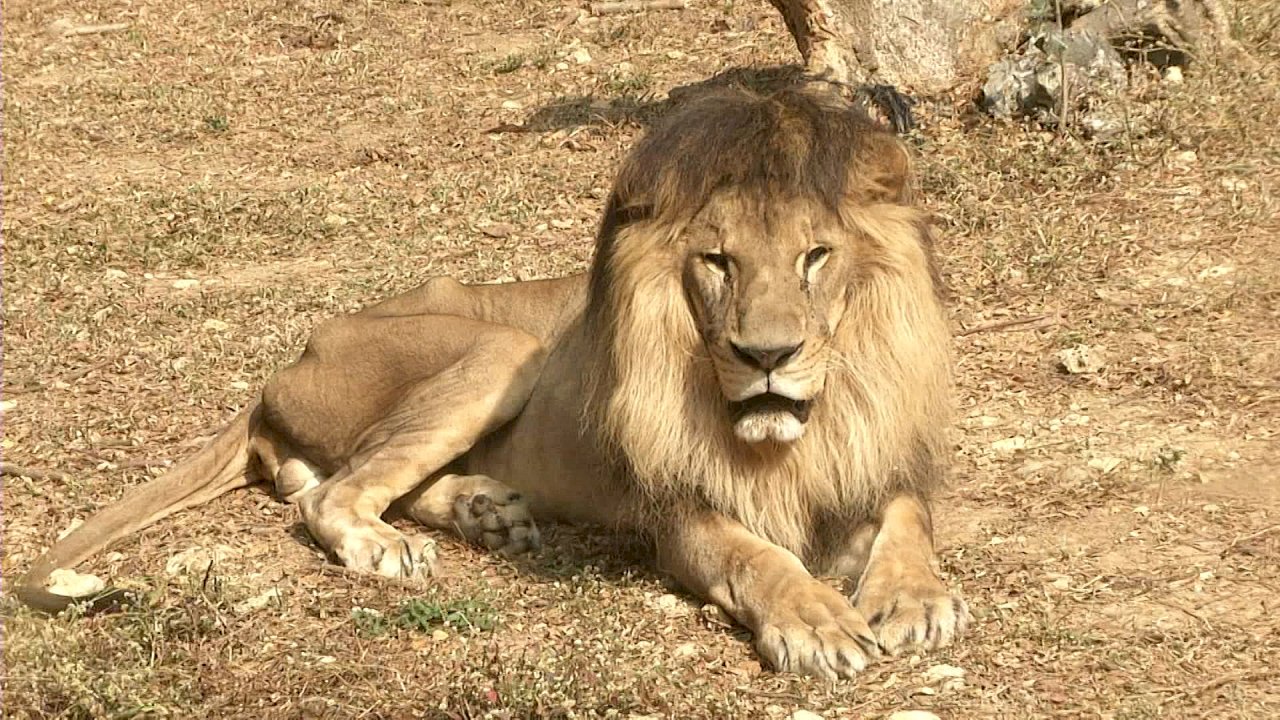 Nuevas instalaciones en el Zoológico de Shou Shan de Kaohsiung