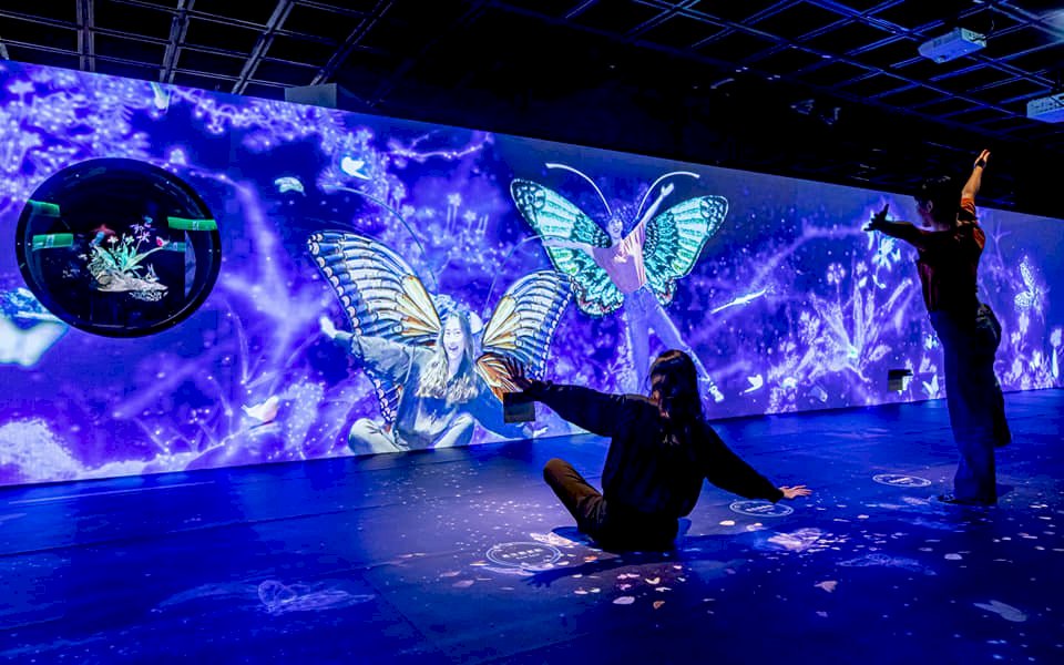 Exhibición digital del Museo Nacional del Palacio