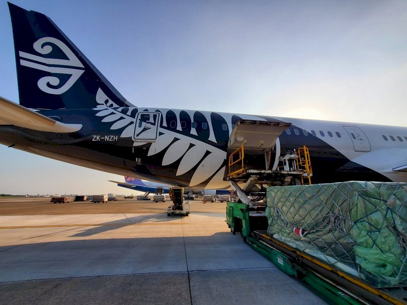 Air New Zealand reanuda vuelos directos con Taiwán