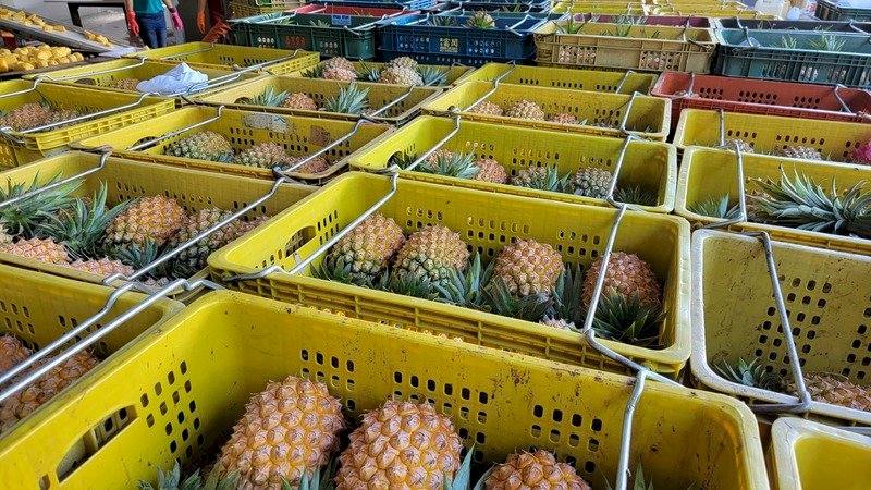 Taiwán dona 3600 piñas a la ciudad japonesa de Matsuyama
