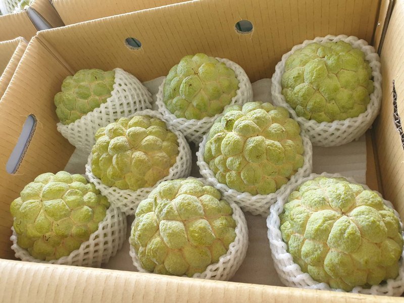 El Gobierno buscará nuevos mercados para la fruta taiwanesa
