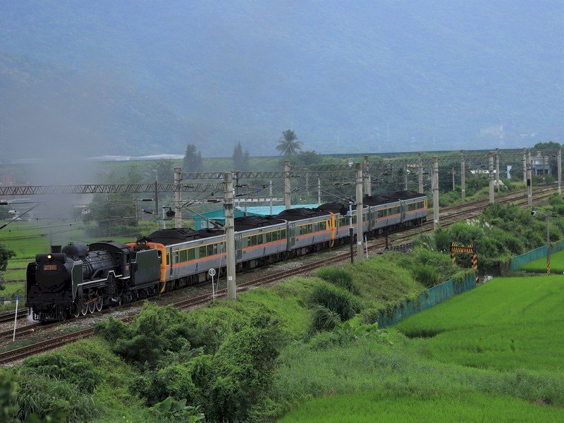 Serie de trenes turísticos de Taiwán