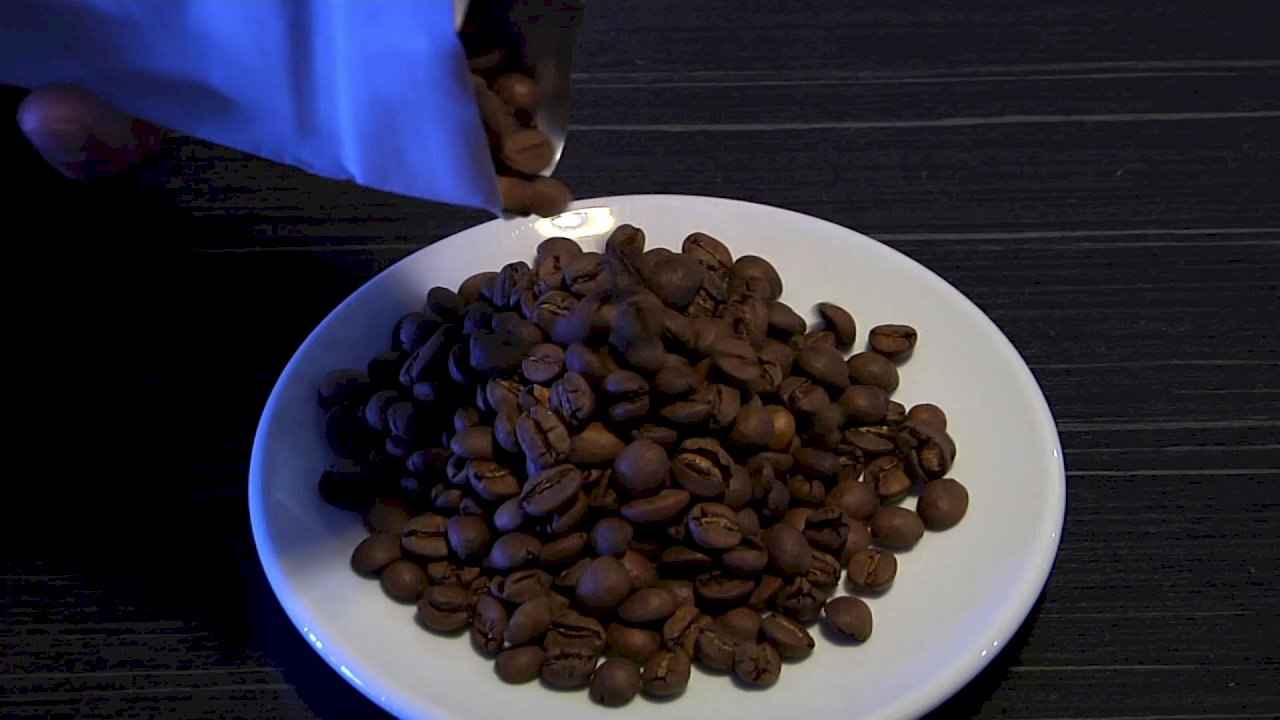 ¡El café de Taiwán se vende a más de mil dólares estadounidenses el kilogramo!