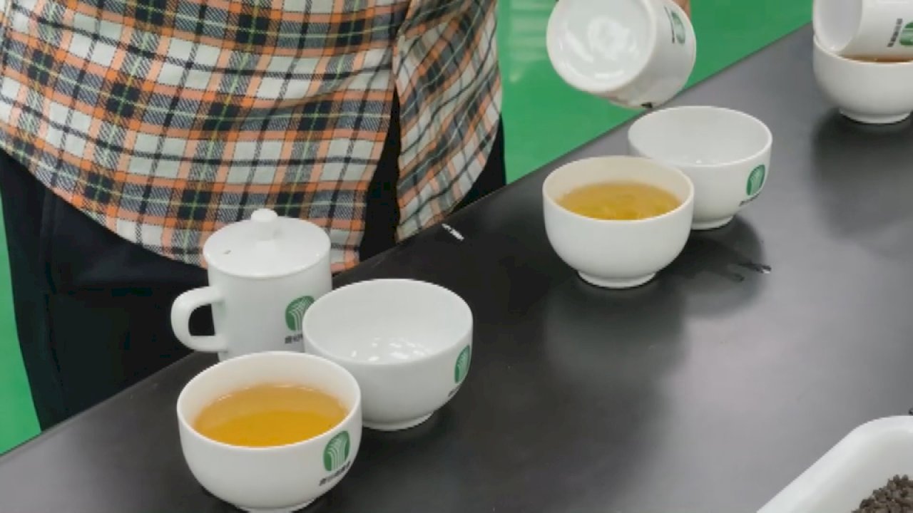 Uso de la técnica de identificación molecular de ADN para descartar el té extranjero