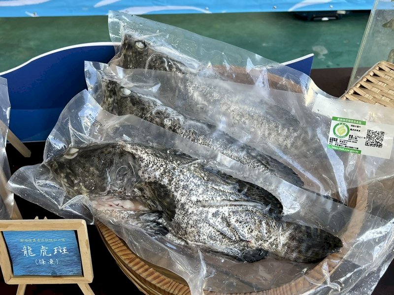 Pesca asegura que no habrá problemas de exportación tras los problemas con los meros en China continental